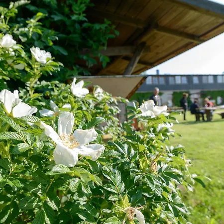 Luxury In Bastorf Germany With Garden Lejlighed Kägsdorf